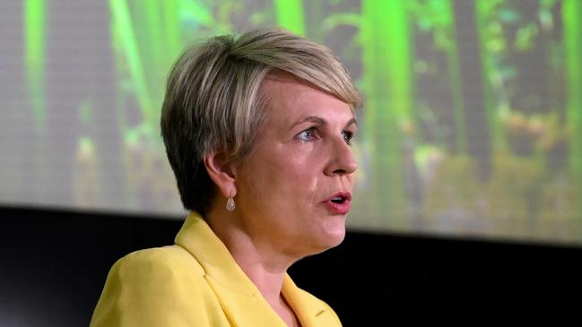 Federal Environment Minister Tanya Plibersek speaks at a press conference at QUT in Brisbane. Picture: Dan Peled