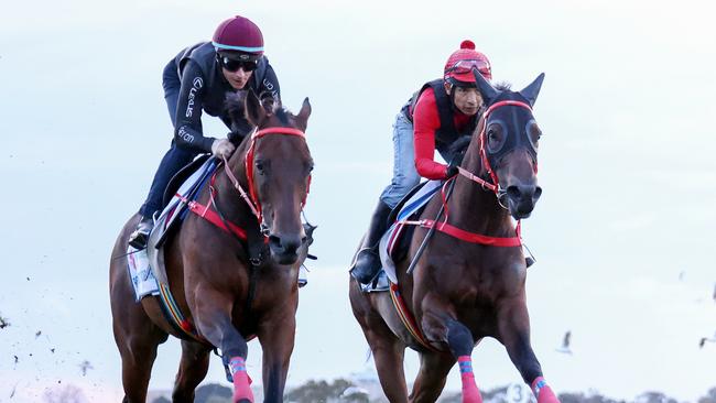 Champion jockey James McDonald rode Romantic Warrior in a track gallop at Flemington on Sunday morning. Picture: Racing Photos via Getty Images.