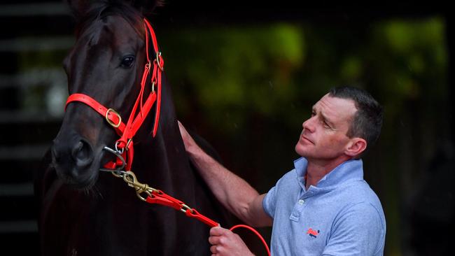 Star mare Mytsic Journey has been popular with punters to win the Group 1 Memsie Stakes in August. Picture: Getty Images