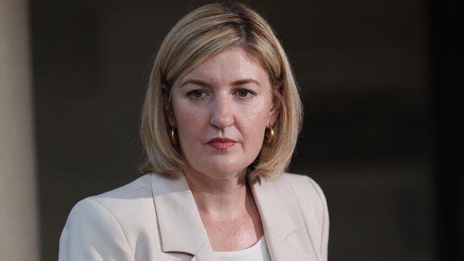 Opposition spokeswoman for women Shannon Fentiman on Sunday. Picture: Annette Dew