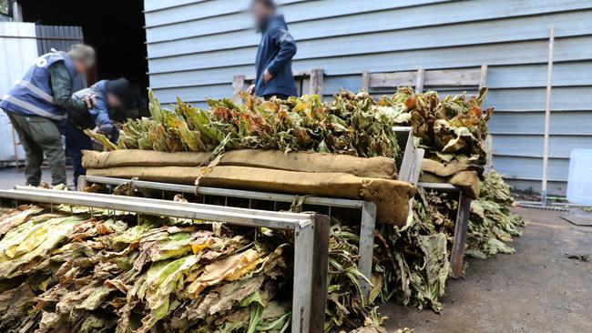 Investigators from the multi-agency task force at a Broadford property. Picture: Border Force