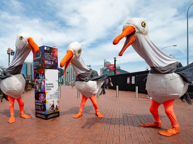 Seagull puppets by Snuff Puppets entertain Sydney Festival visitors at Pyrmont Bridge. Picture: Wendell Teodoro