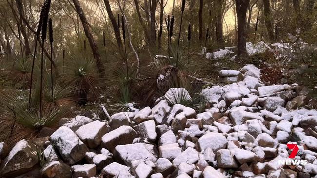 Snow was spotted at Mount Remarkable in the Flinders Ranges. Picture: 7 News