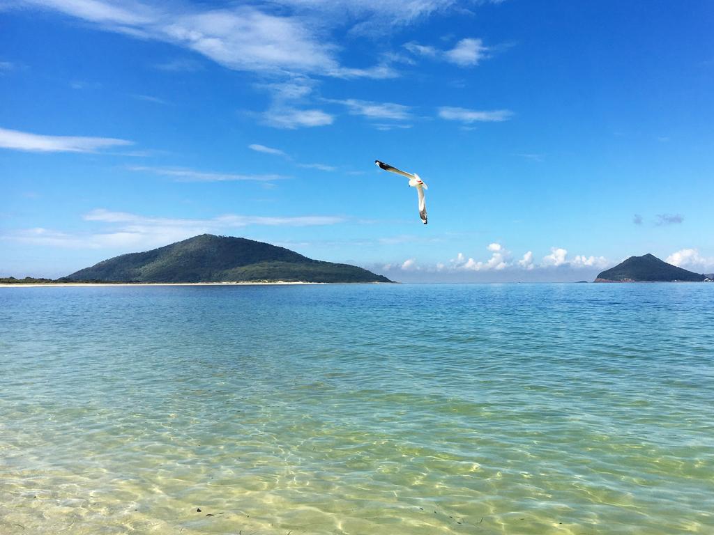 The stunning water at Jimmys Beach in Hawks Nest.