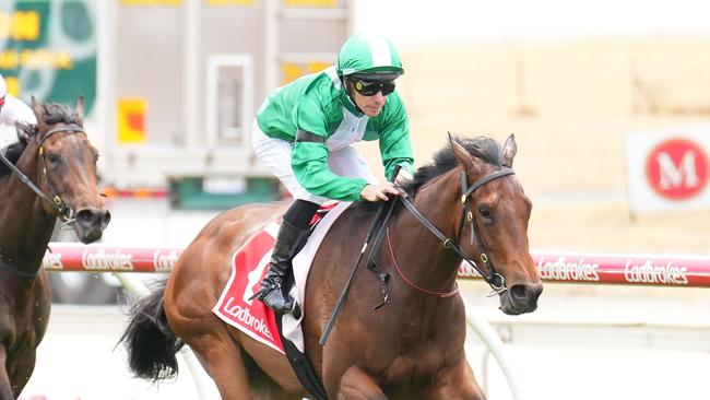 Refusetobeenglish (NZ) ridden by Ben Melham wins the Frankston Sand Soil & Mini Mix Handicap at Cranbourne Racecourse on November 23, 2024 in Cranbourne, Australia. (Photo by Scott Barbour/Racing Photos via Getty Images)
