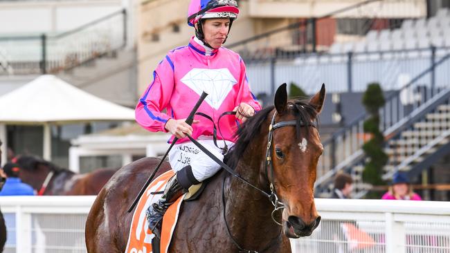 Damian Lane returns to scale aboard Divine Diosa. Picture: Racing Photos via Getty Images