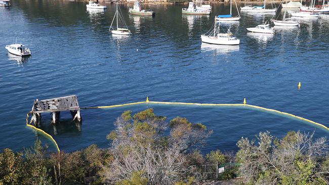 Berrys Bay, Waverton. Picture: Danny Aarons