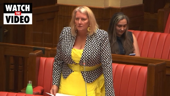 Tammy Franks MLC speaks on her sex work Bill