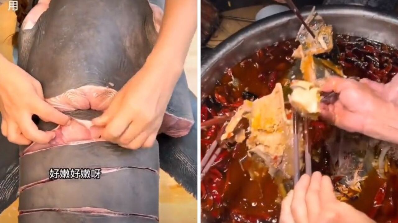 Part of the shark was sliced up, while the other side became part of a broth. Picture: Weibo