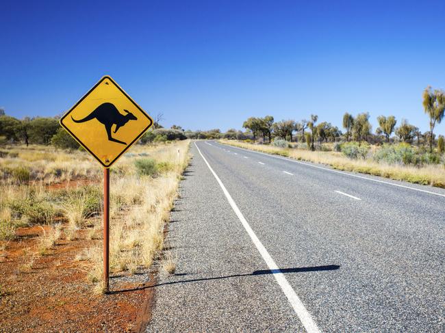 An iconic warning road sign for kangaroos near Uluru in Northern Territory, Australia