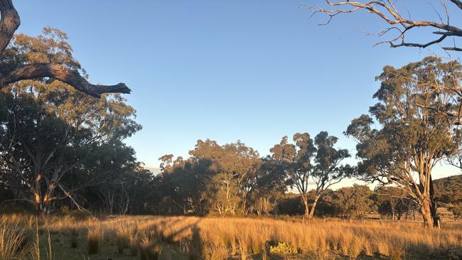 New carbon farming project allowing SEQ producers to profit