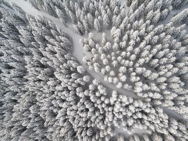 Path leading through Winter Forest, Bird’s-Eye View. Picture: Supplied