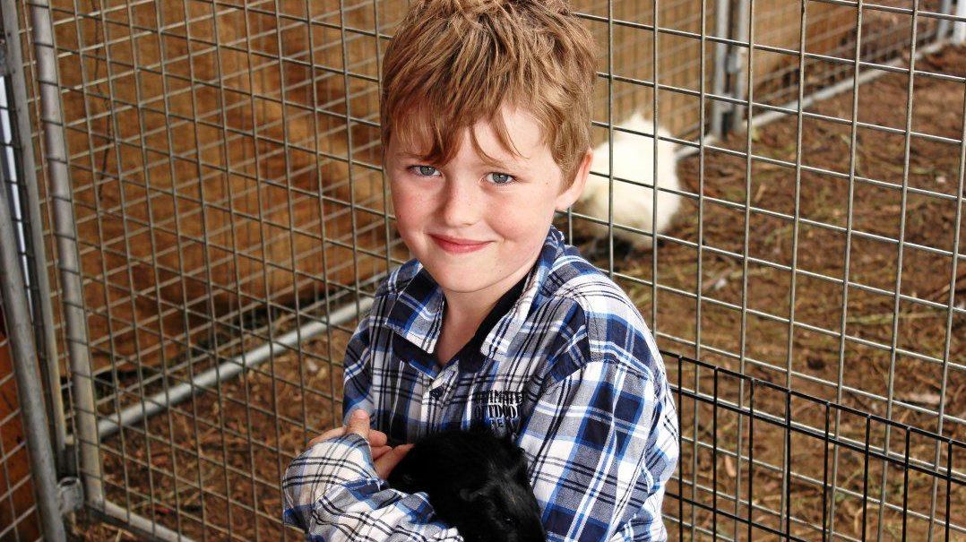 ABOVE, SHOW TIME: Barnyard Babies will return to Wallumbilla Show this year, allowing children to get up close with baby animals. Picture: Contributed