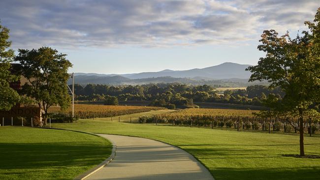 Domaine Australia’s estate in the Yarra Valley. Picture: Earl Carter Photography