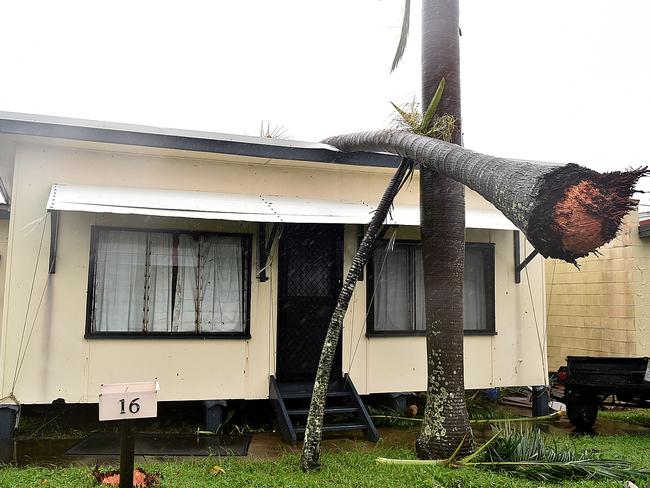 A house in Airlie Beach is left with a gapping hole and a tree on the roof during Cyclone Debbie. Picture: Alix Sweeney