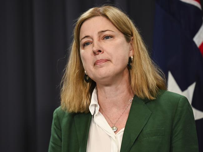 CANBERRA, Australia - NewsWire Photos - October 14, 2024: Minister for Agriculture, Fisheries and Forestry, Julie Collins holds a press conference at Parliament House in Canberra. Picture: NewsWire / Martin Ollman