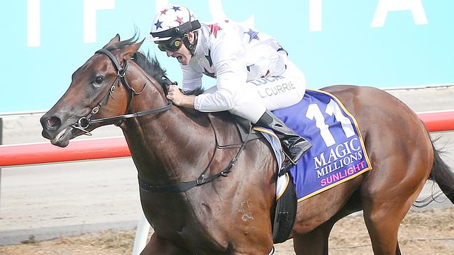 Magic Millions winner Sunlight is among Tony McEvoy’s strong crop of two-year-olds this season.