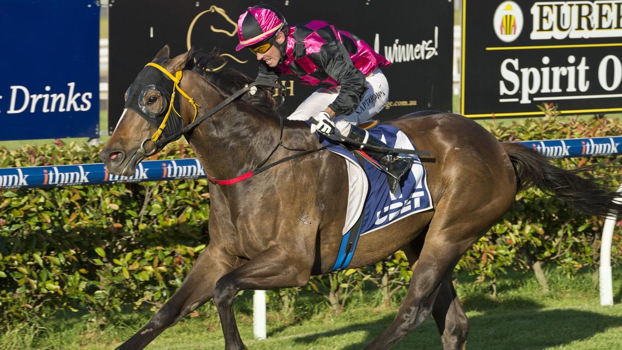 Warwick gelding Colpo Di Tamburo winning this year at Clifford Park. He's an entry for next Thursday's Magic Millions Cup qualifier at Allman Park.