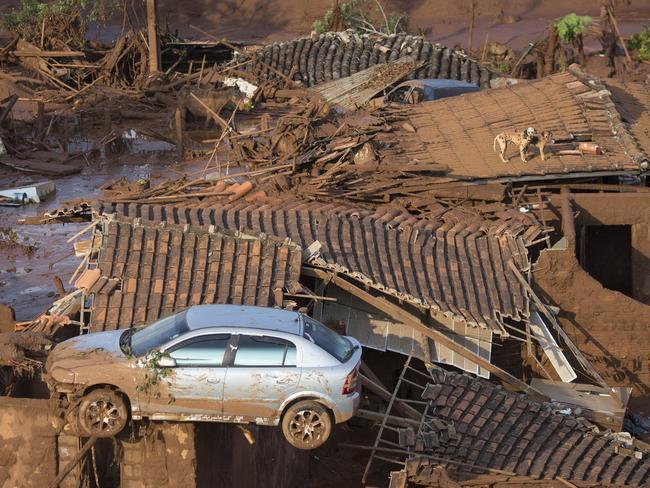 In this November 2015 photo, a car and two dogs are seen on the roof of destroyed houses at the small town of Bento Rodrigues.