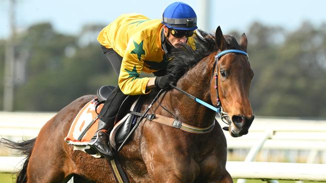 Blake Shinn aboard classy mare Estriella at last Monday’s Cranbourne trials. Picture: Getty Images