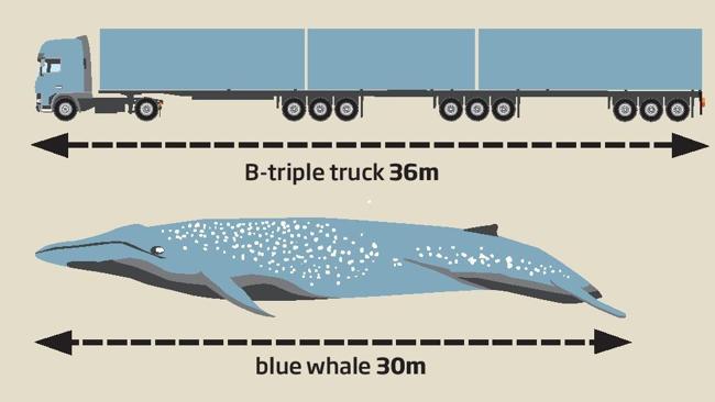 Enormous B-triple And B-double Trucks May Soon Be On Yarraville Streets ...