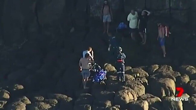 Diver killed in shark attack (7 News)