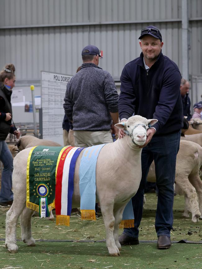 Dane Rowley from Springwaters at Boorowa, NSW, with the Poll Dorset Supreme Champion ram and Supreme Interbreed Exhibit. Picture: Zoe Phillips