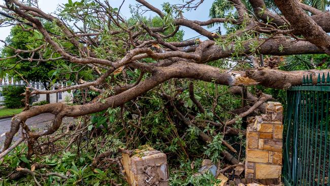 Wayne Patten, of Fannie Bay, surveys the damage to his driveway and car after the milkwood tree that had stood in his front yard since before Cyclone Tracy fell when a squall hit Darwin. Picture: Che Chorley