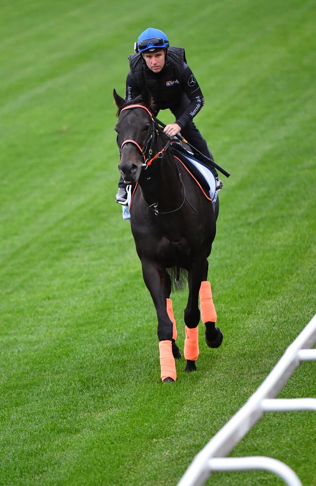 Jockey Tommy Berry rides Kluger. (AAP Image/Vince Caligiuri)