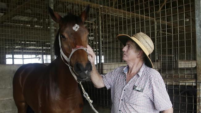 Innisfail horse trainer Greg Strickland was former Melbourne Storm fullback Billy Slater's first employer. PICTURE: MATT NICHOLLS.