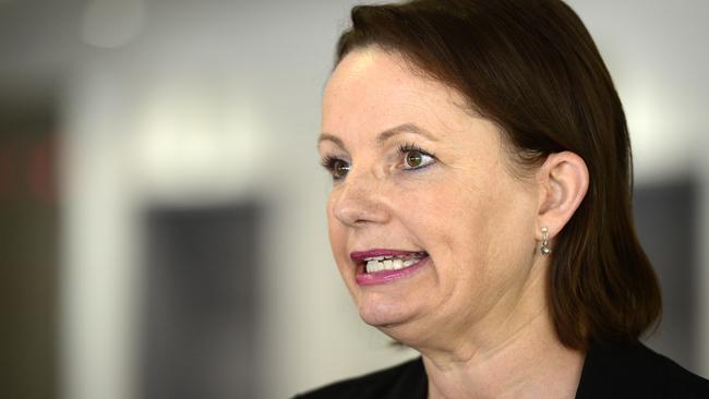 It is apparent that former health minister Sussan Ley and the reasonable person don’t fly in the same aircraft, let alone sit in the same cabin classes.