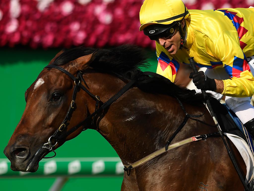 Jockey Michael Rodd rides Vega One to victory in race 7, the Gateway, during Metro Races at Eagle Farm Racecourse in Brisbane, Saturday, December 14, 2019. (AAP Image/Albert Perez) NO ARCHIVING, EDITORIAL USE ONLY