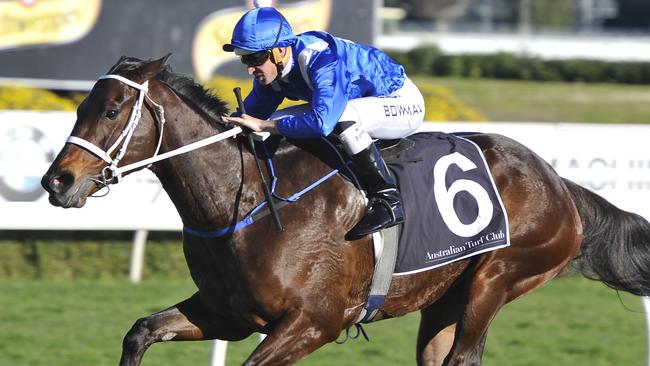 El Divino: Winx’s little brother step into the spotlight at Rosehill ...