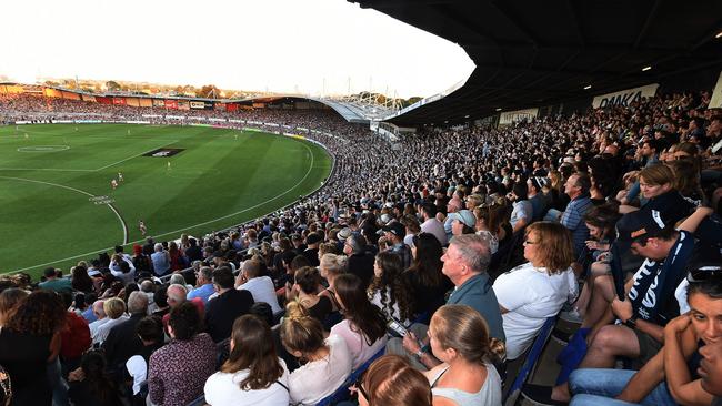 The capacity at Ikon Park is 24,000, compared to 5000 at Collingwood’s Olympic Park. Picture: Rob Leeson