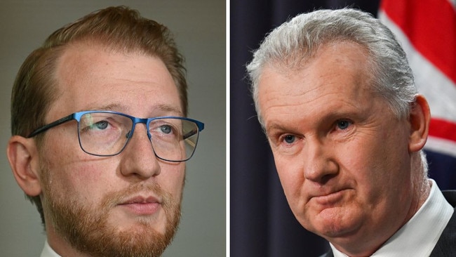 Liberal senator James Paterson and Home Affairs Minister Tony Burke.