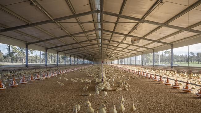 Primary producers say they have no option but to pass high energy costs on to consumers. Photo: Luv-a-duck