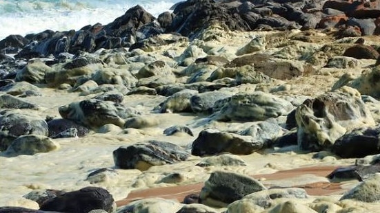 Toxic foam from an algae bloom off the South Australian coast line is washing up along the iconic Fleurieu Peninsula, leaving beachgoers ill and marine life dead. Picture: Instagram @andysmythy