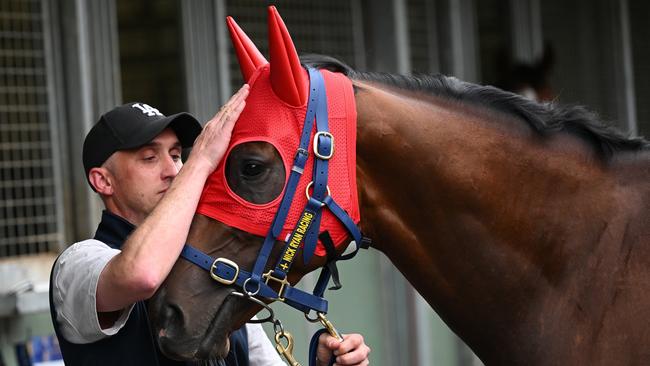 MELBOURNE, AUSTRALIA - OCTOBER 31: Trainer Nick Ryan poses with Red Aces during a Derby Day media opportunity at Flemington Racecourse on October 31, 2024 in Melbourne, Australia.  (Photo by Vince Caligiuri/Getty Images)