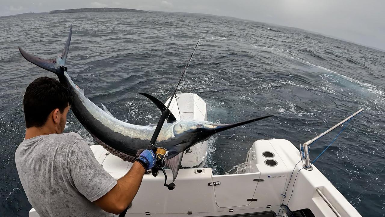 Watch the heart-stopping moment a fisherman was almost impaled by a ...