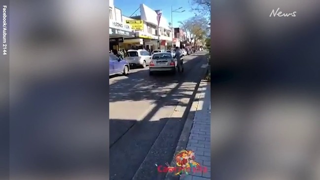 Cabramatta road rage incident