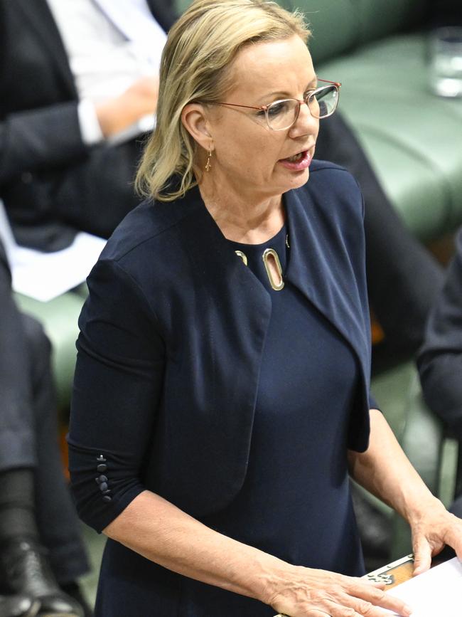 Deputy Leader Sussan Ley is standing for the leadership to replace Peter Dutton. Picture: NewsWire / Martin Ollman