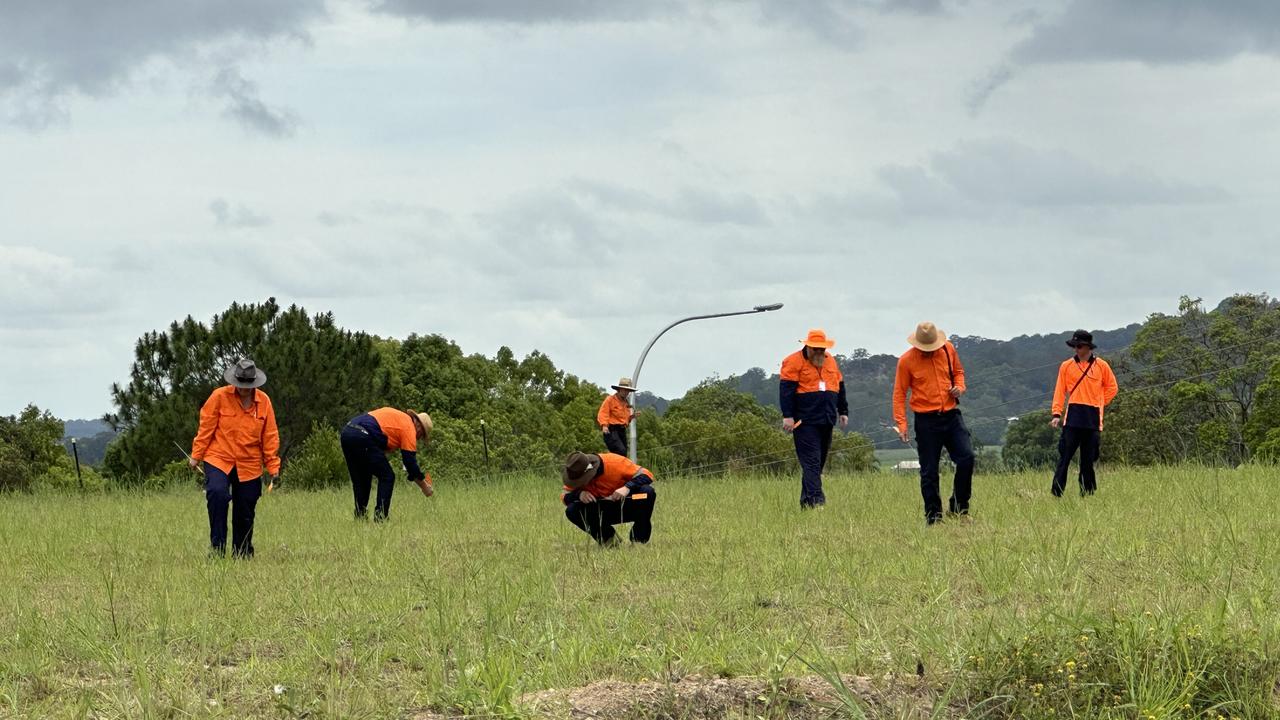 Members of the National Fire Ant Eradication Program carefully inspect a site in South Murwillumbah for any sign of red imported fire ants. Picture: supplied.