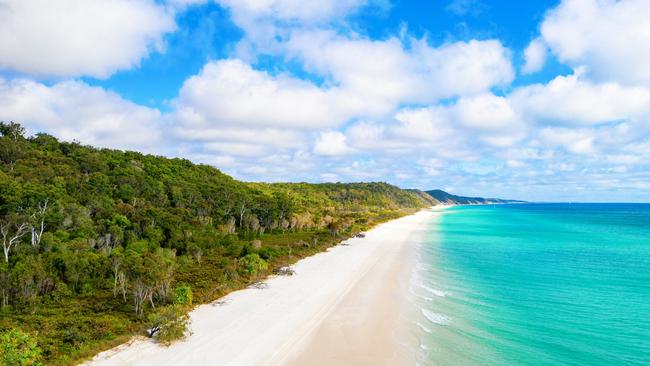 Six people were stung in the waters of K’gari (Fraser Island) in one week alone. Picture: NCA NewsWire