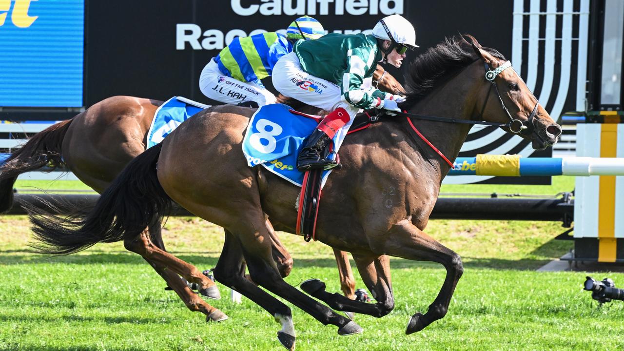 Kimochi took out the Sir Rupert Clarke Stakes at Caulfield on Saturday. Photo: Reg Ryan/Getty Images.