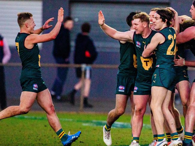 Tasmania celebrates during Saturday’s win over Queensland. Picture: Linda Higginson