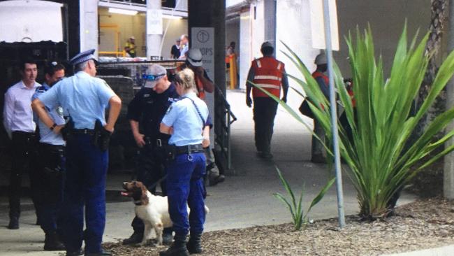 Police dogs on the scene at Warringah Mall. Picture: Martin Lange