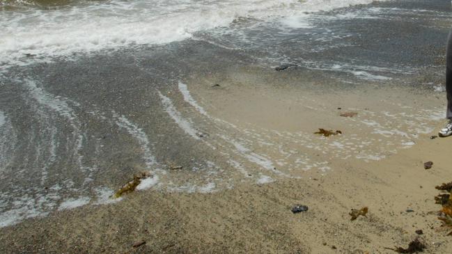 Central Coast Extra.Local resident Sonja Taylor walks along the beach with the red Algae floating in & around Cabbage Tree Bay ( near Norah Head ) on the Central Coast .Story Nolan.