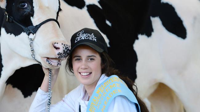 Royal Melbourne Show Dairy Cattle Competition | The Weekly Times