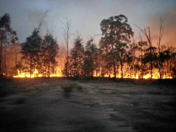 Photos of recent fires on Robbos Road Wieambilla. Picture: Jacqui Lamb