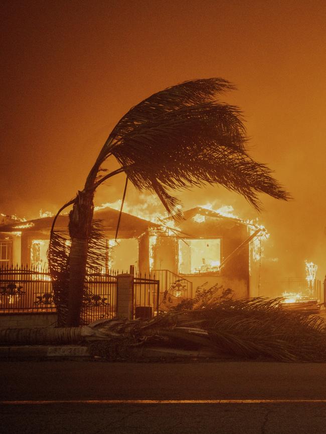 Trees sway in high winds as the Eaton Fire burns structures. Picture: AP Photo/Ethan Swope